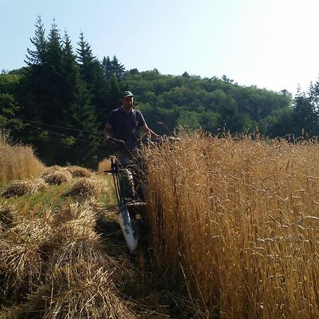 Azienda Agrituristica Risveglio Naturale 瓦雷塞利古雷 外观 照片