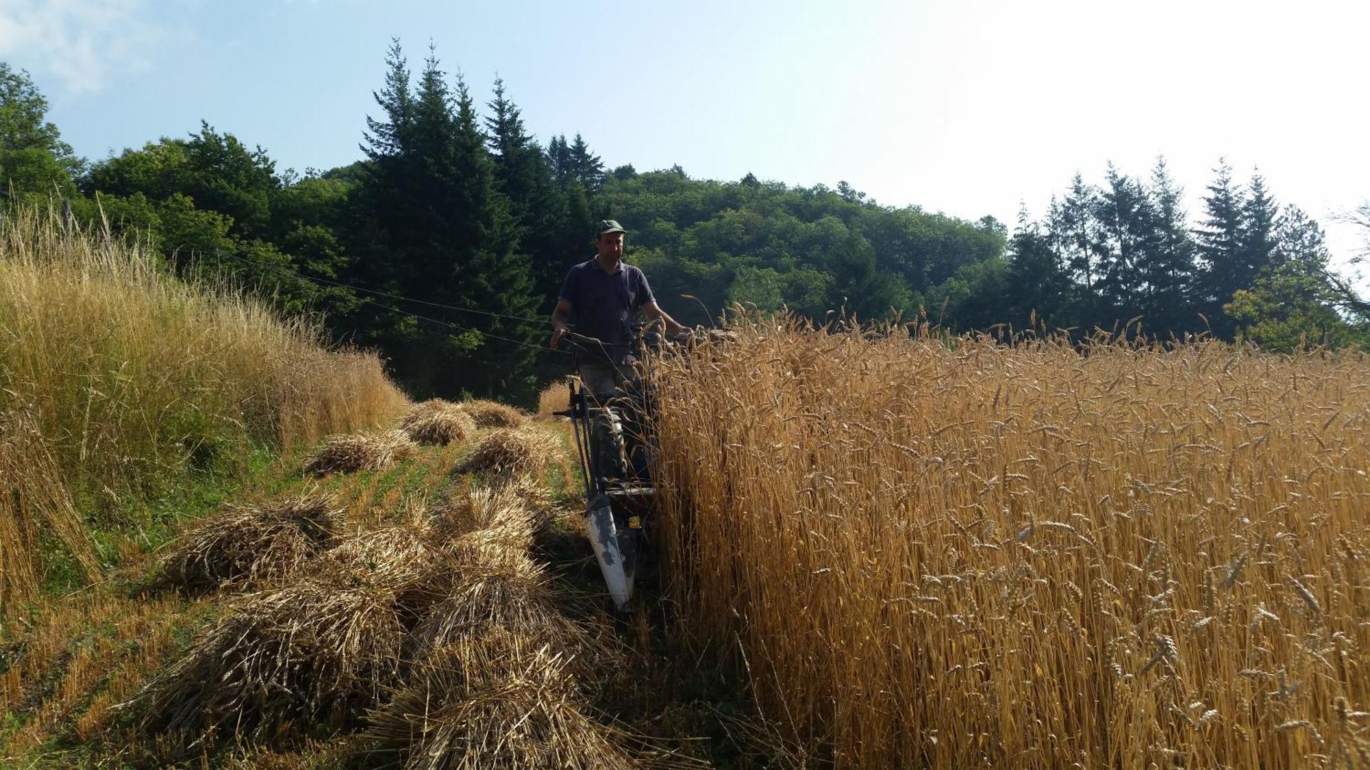 Azienda Agrituristica Risveglio Naturale 瓦雷塞利古雷 外观 照片