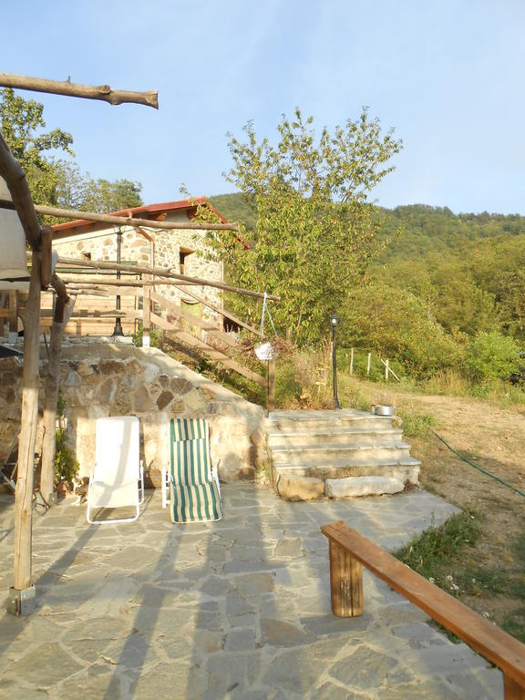 Azienda Agrituristica Risveglio Naturale 瓦雷塞利古雷 外观 照片
